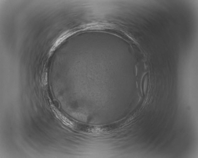 X0000085731459200703301348