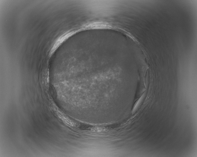 X0000085731461200703301348