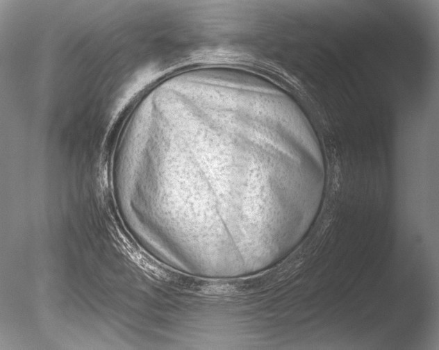 X0000085731462200703301348