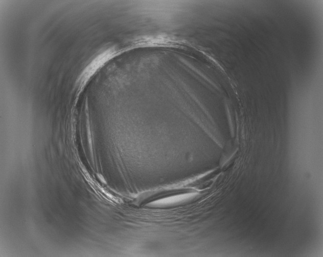 X0000085731463200703301348