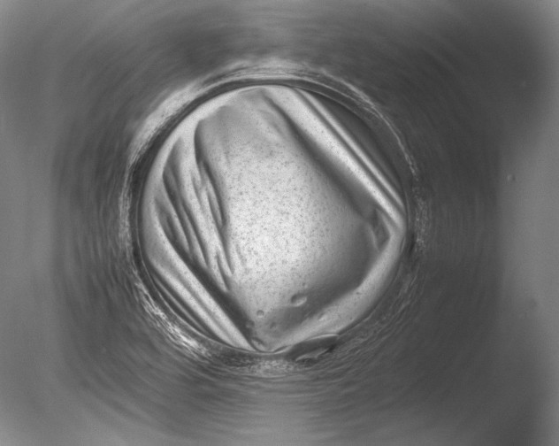 X0000085731464200703301348