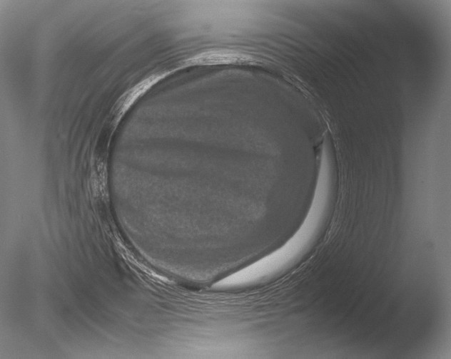 X0000085731465200703301348