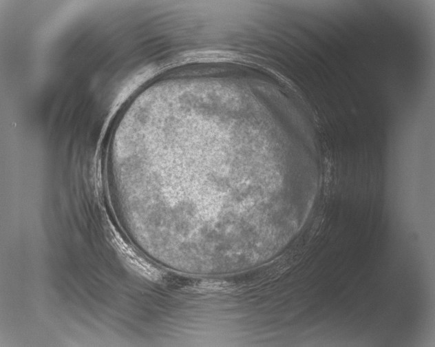 X0000085731466200703301348