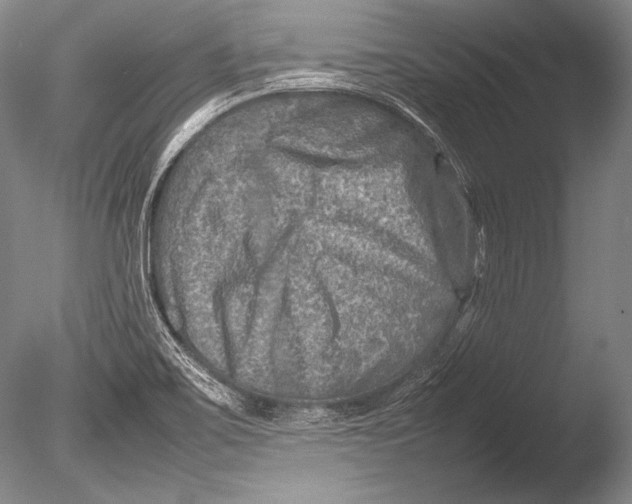 X0000085731467200703301348