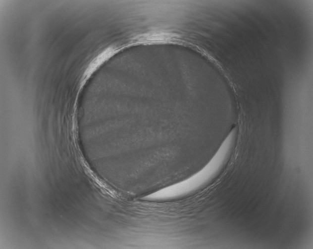 X0000085731469200703301348