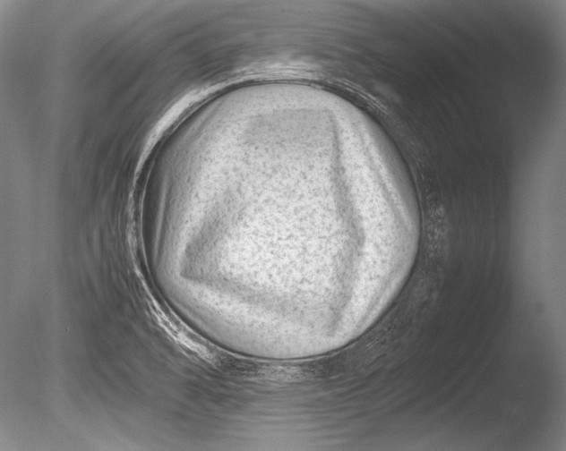 X0000085731470200703301348