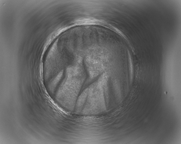 X0000085731472200703301348