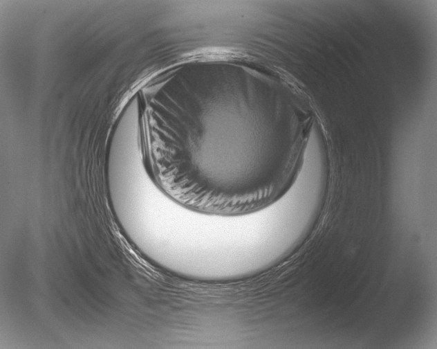 X0000085731473200703301348