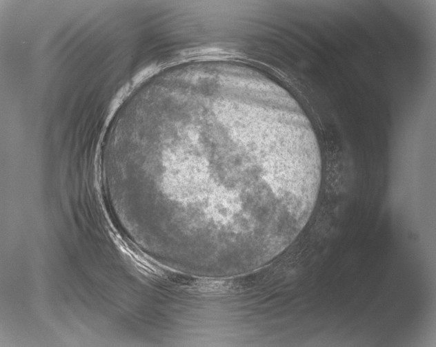 X0000085731474200703301348