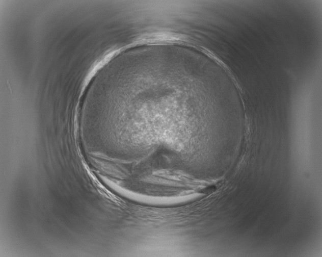 X0000085731477200703301348