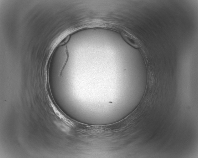 X0000085731479200703301348