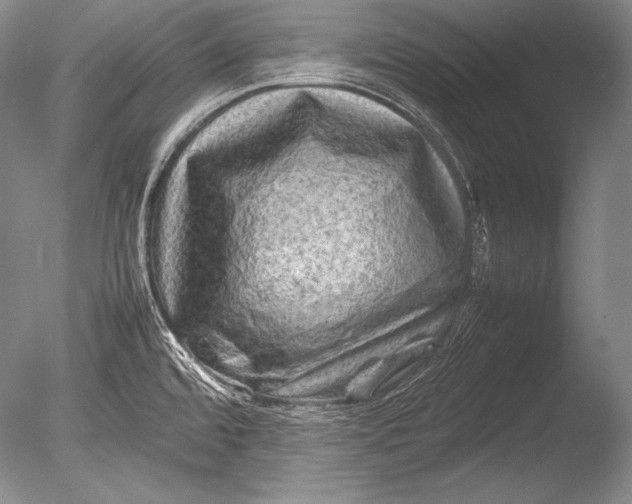 X0000085731480200703301348