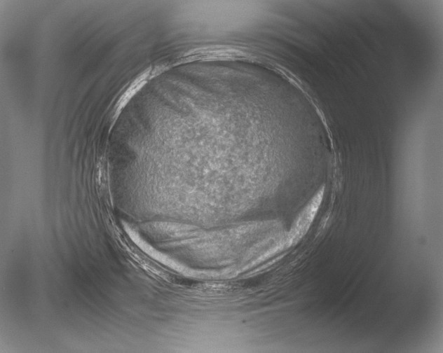 X0000085731481200703301348