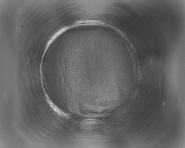 X0000085731482200703301348