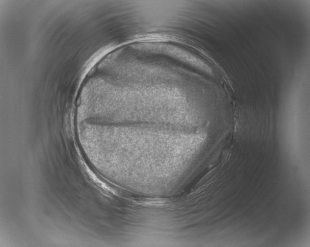 X0000085731484200703301348