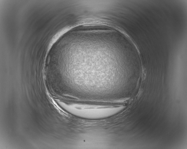 X0000085731485200703301348