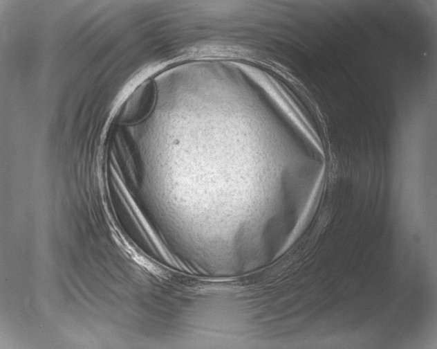 X0000085731486200703301348