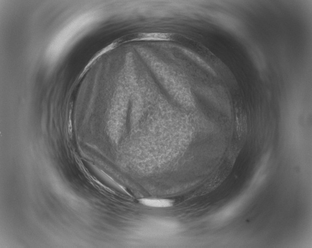 X0000085731487200703301348