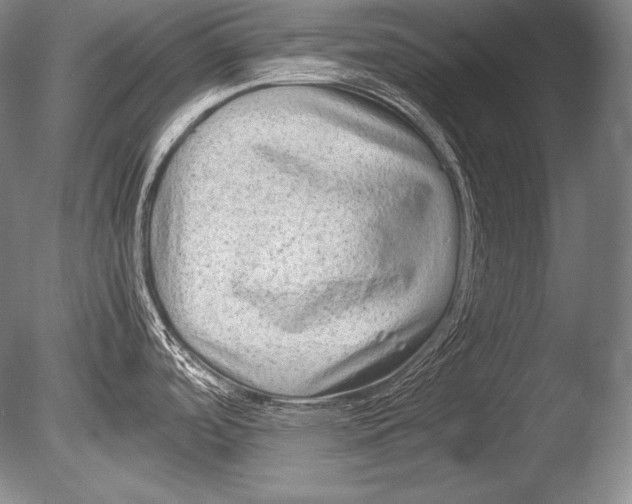 X0000085731488200703301348