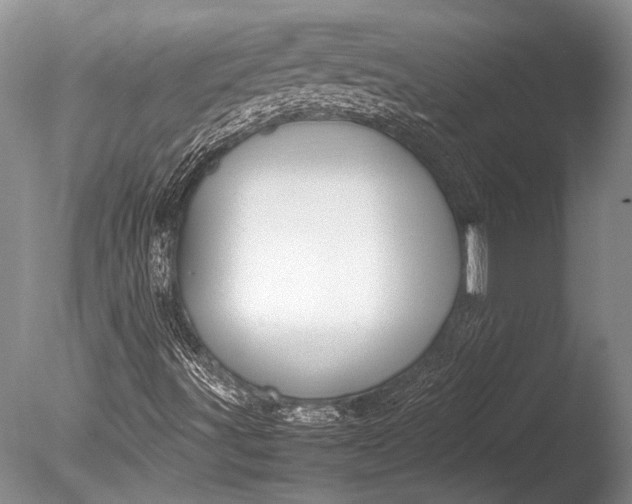 X0000085731491200703301347