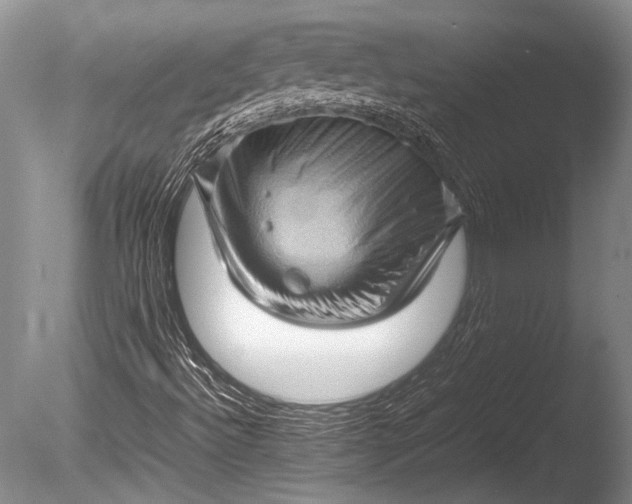 X0000085731492200703301347