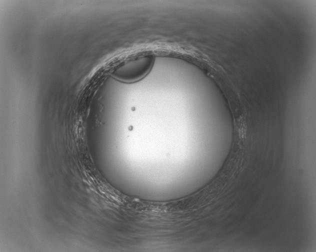 X0000085731495200703301347