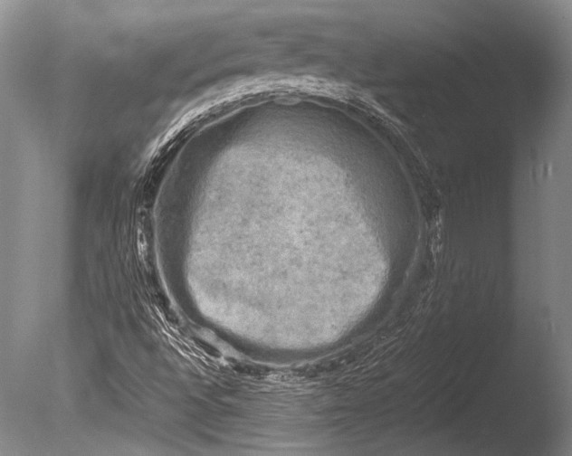 X0000085731496200703301347