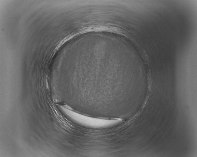 X0000085731497200703301347