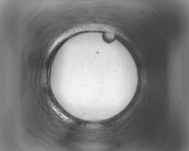 X0000085731498200703301347