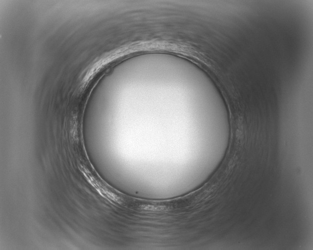 X0000085731499200703301347