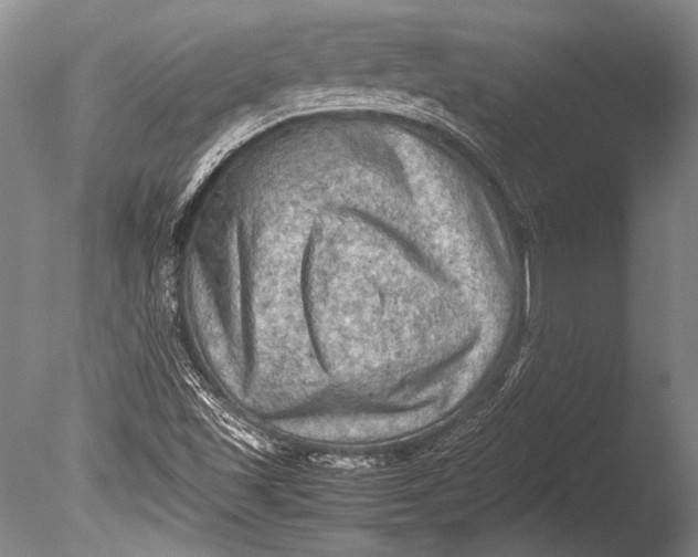 X0000085731501200703301347