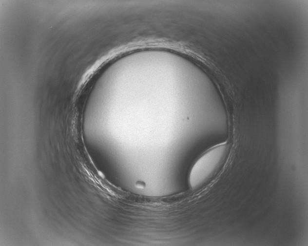 X0000085731502200703301347