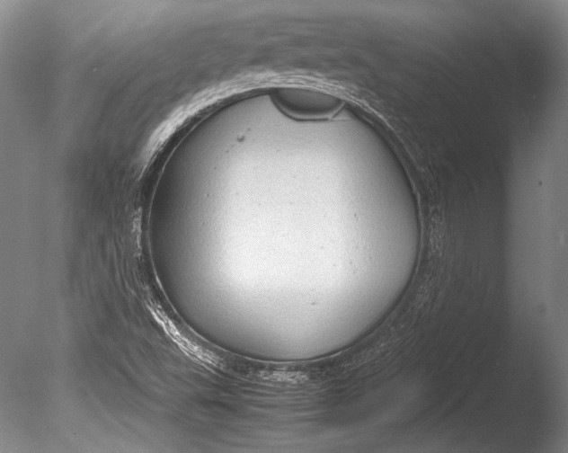 X0000085731503200703301347