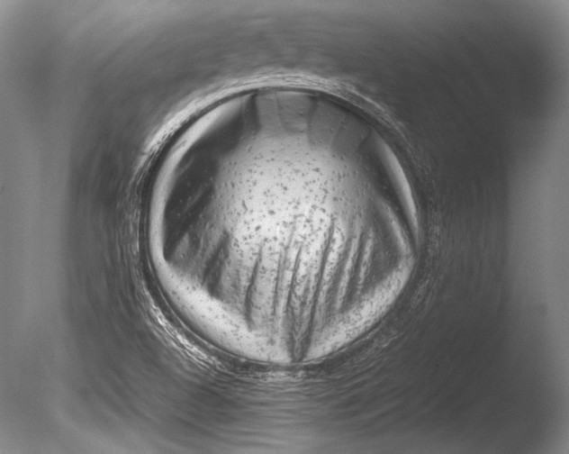 X0000085731504200703301347