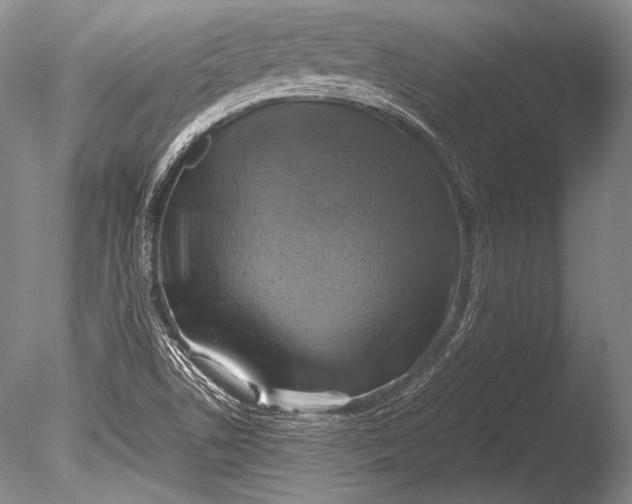 X0000085731506200703301347