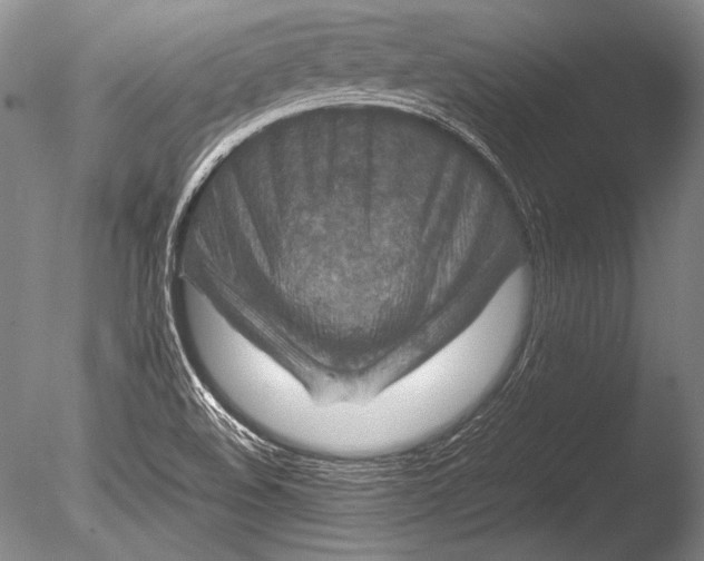 X0000085731508200703301347