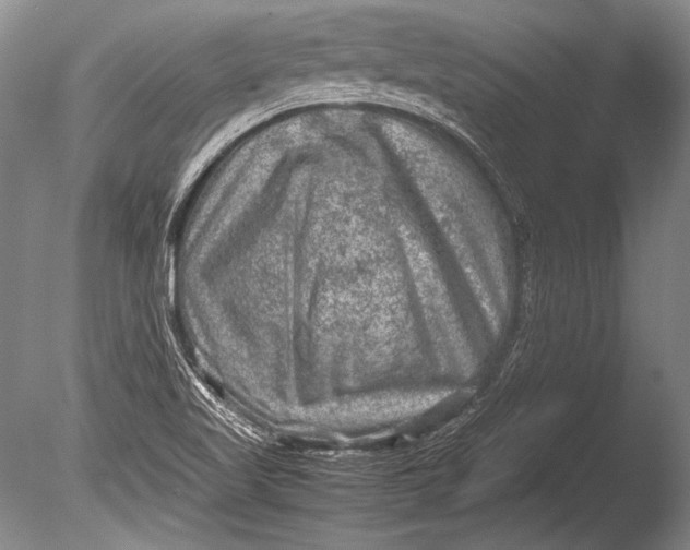 X0000085731509200703301347