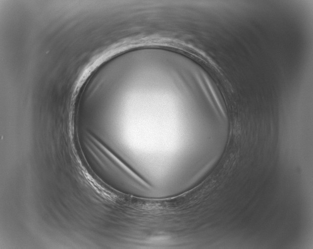 X0000085731512200703301347