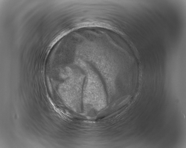 X0000085731513200703301347