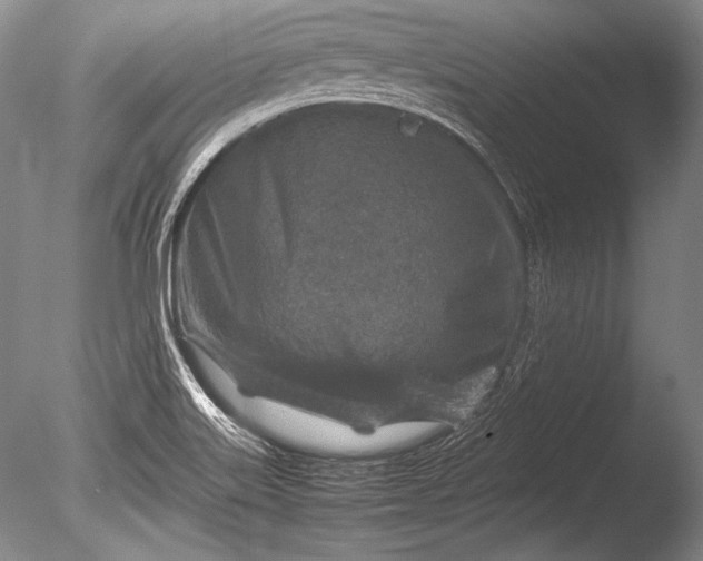 X0000085731515200703301348