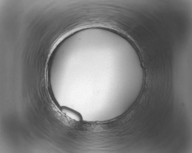 X0000085731516200703301348