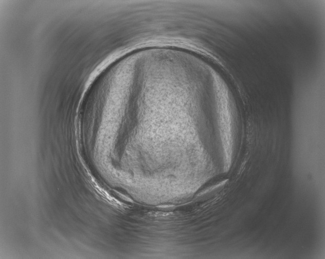 X0000085731517200703301348