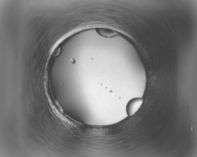 X0000085731518200703301348