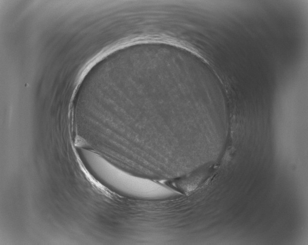 X0000085731519200703301348