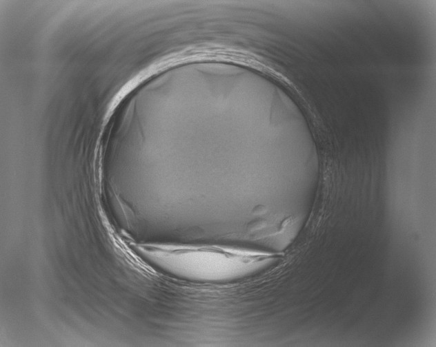 X0000085731522200703301348