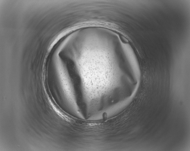 X0000085731523200703301348