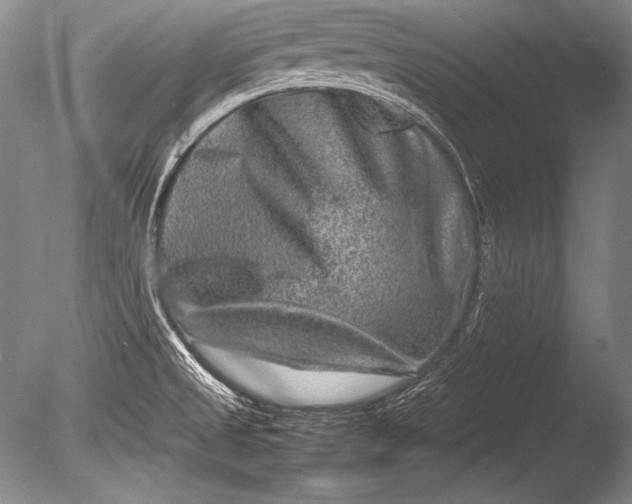 X0000085731525200703301348