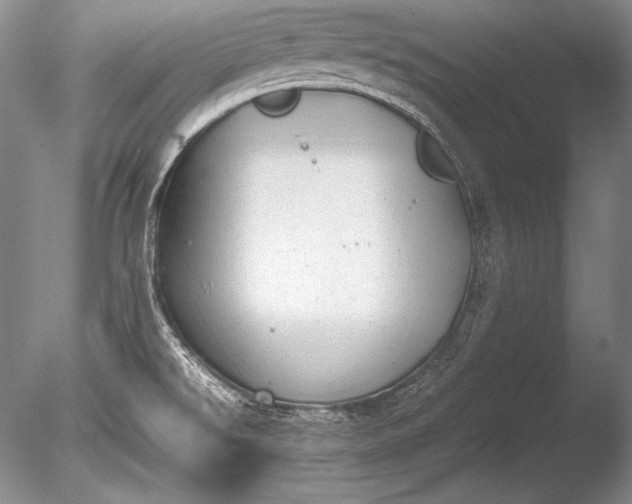 X0000085731526200703301348