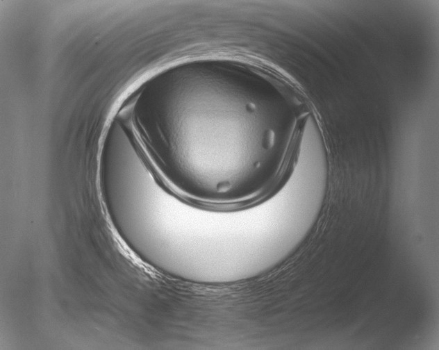 X0000085731528200703301348