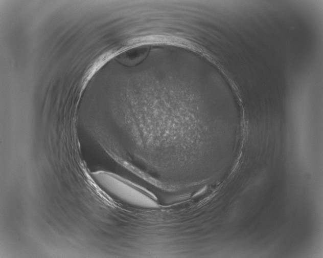 X0000085731529200703301348